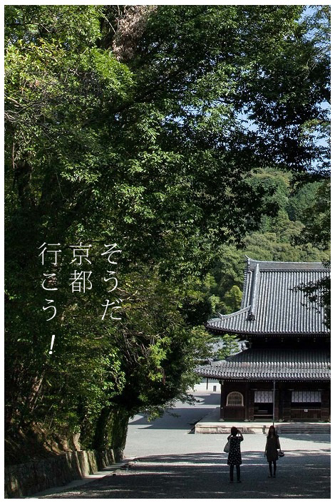 そうだ京都、行こう。