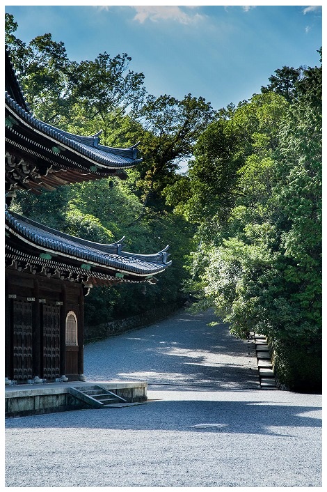 大仏殿と坂道