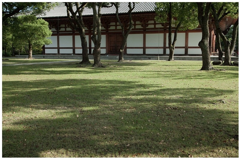 東寺講堂