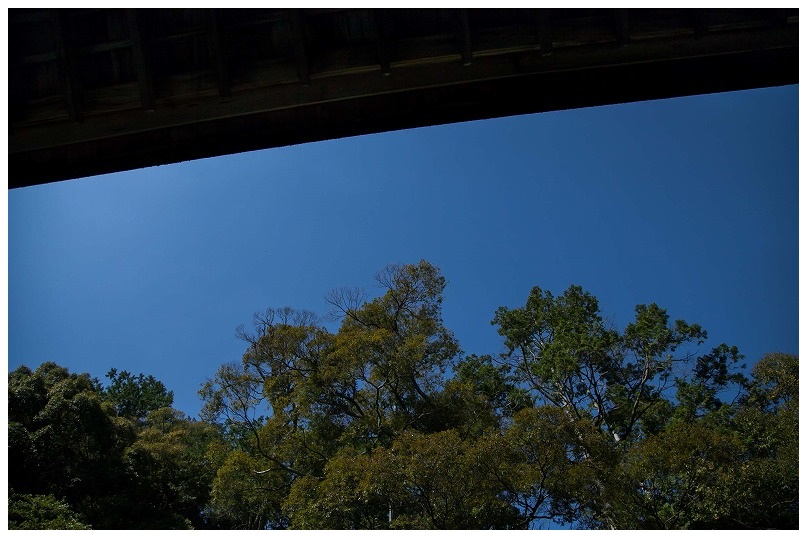 南禅寺・南禅院庭園