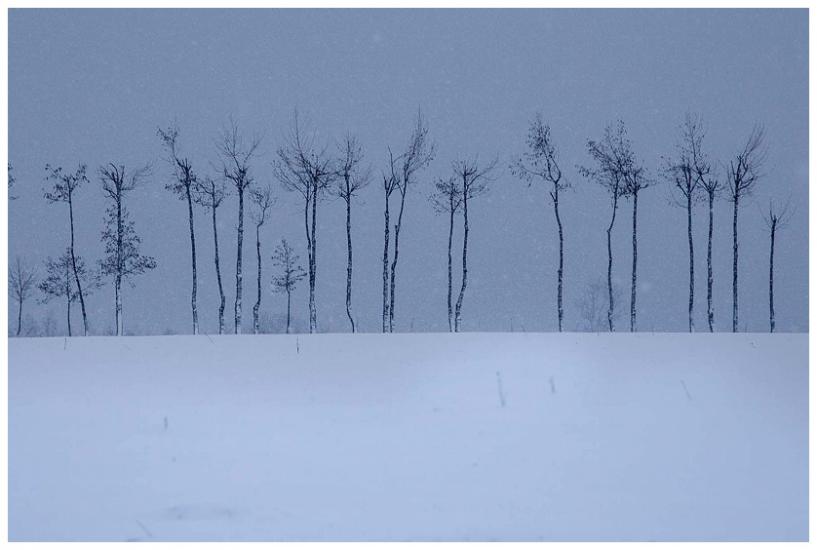 雪風景