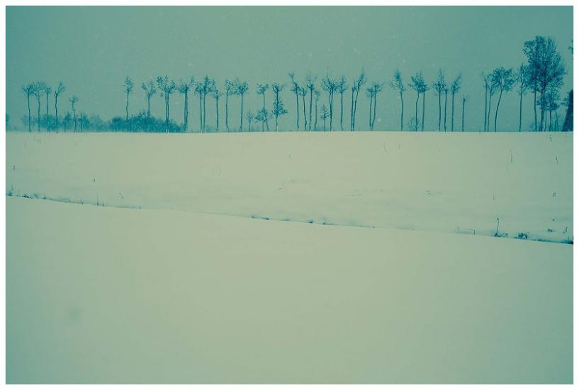雪とはさぎ