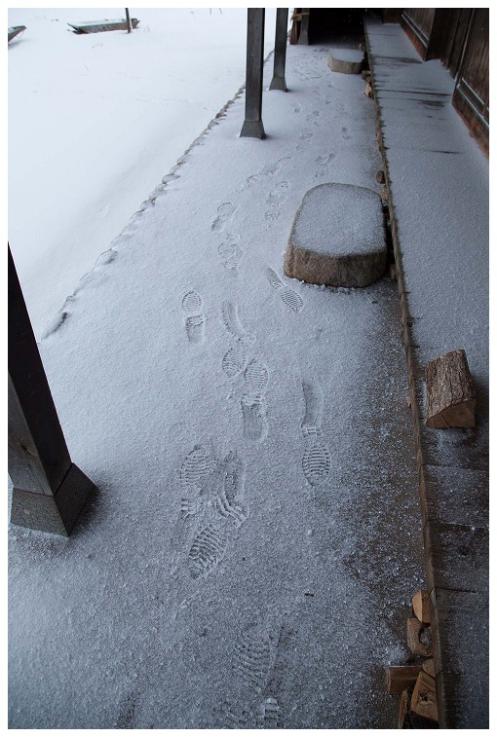 雪の上の足跡