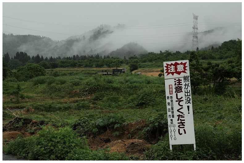 クマ出没