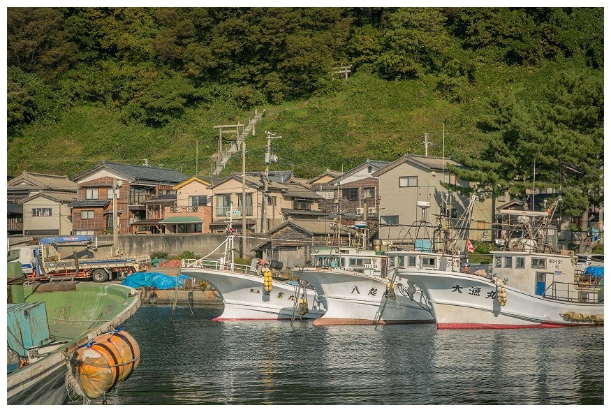 漁港から鳥居の見える風景