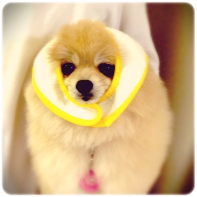 2012122701.jpeg