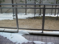 大雪の後