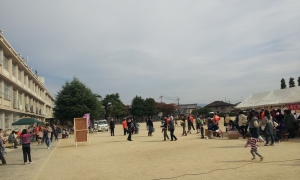 20141108_124517.jpg