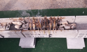 20141108_124632.jpg