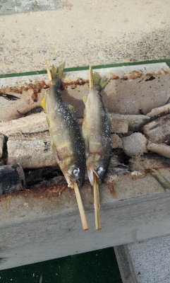 20141108_125013.jpg