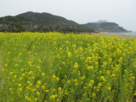 toyotetsu20130329_11s