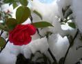 20090124084838.jpg