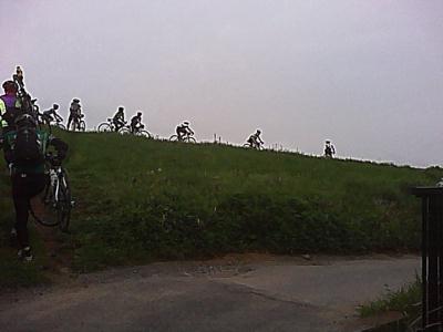 20120430c.jpg