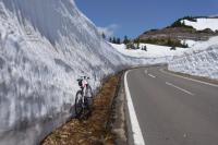 20120505u.jpg