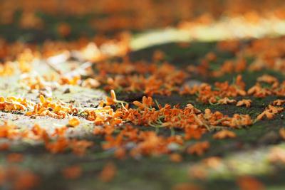 20121024b.jpg