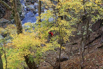 20121118e.jpg