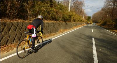 20121215c.jpg