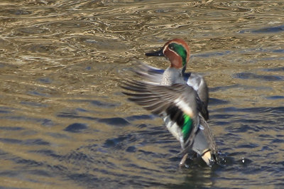 20121227b.jpg