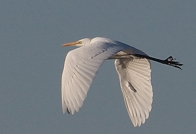 20130108f.jpg