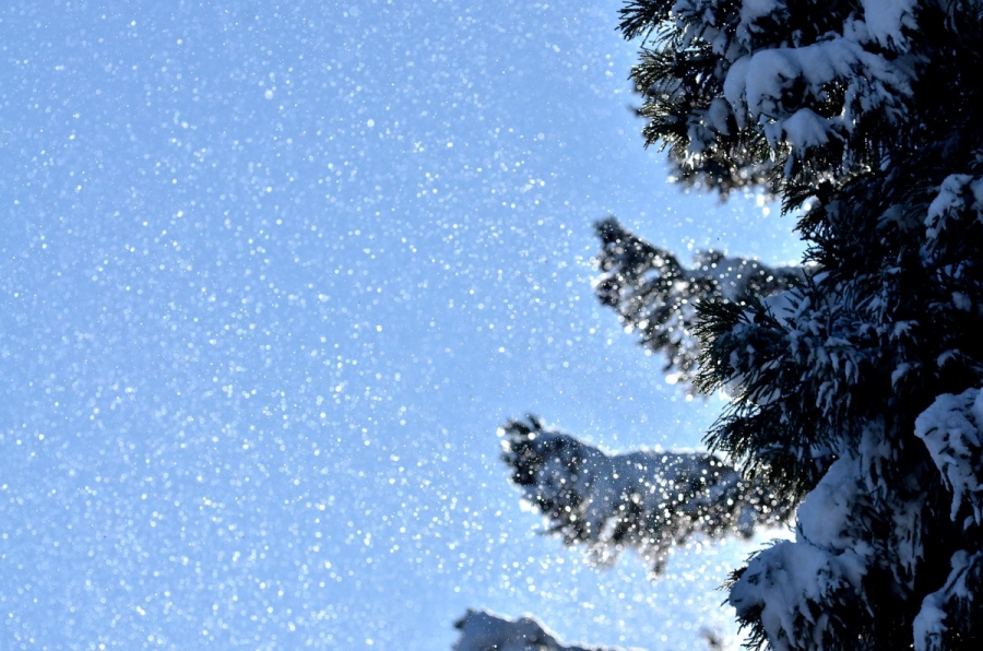 雪の日曜 299s
