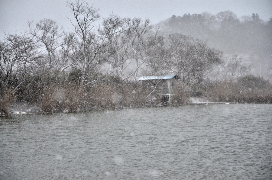 吹雪の朝 002s