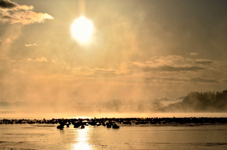 -13℃ 291s