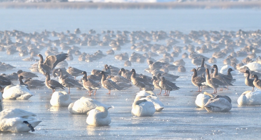 -13℃ 305s