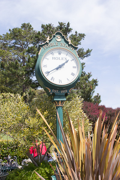 new-1224.jpg