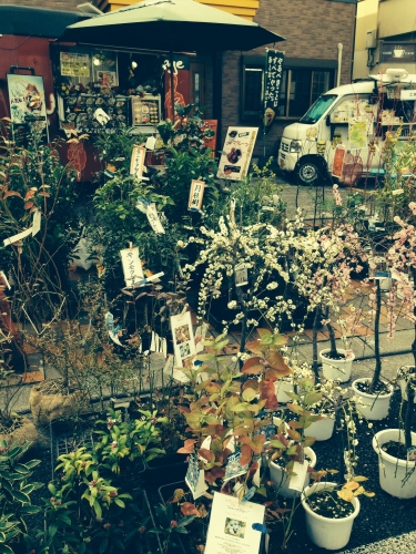 20140203223829e8b.jpg