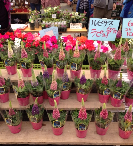 20140203224522c86.jpg