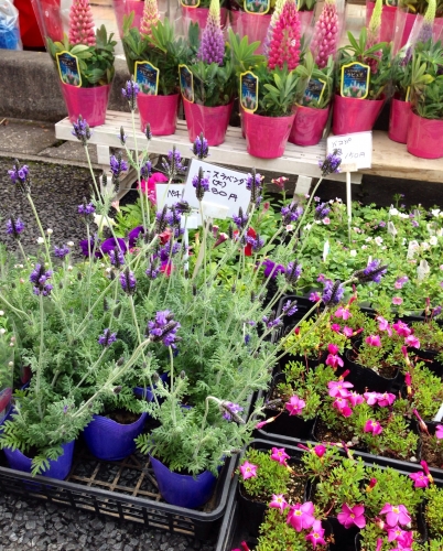 20140203224522e23.jpg