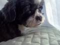 4DSC09457.jpg