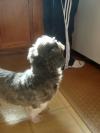 Thxgiving2012_07.jpg
