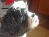 Thxgiving2012_15.jpg