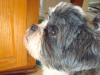 Thxgiving2012_16.jpg