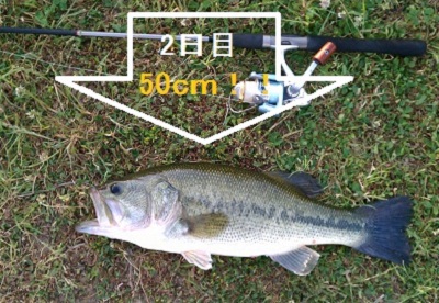 50バス