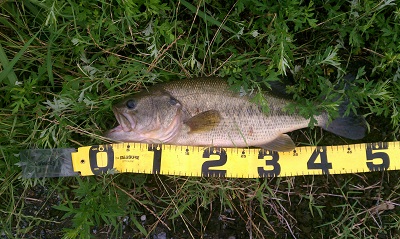 IMAG0980.jpg