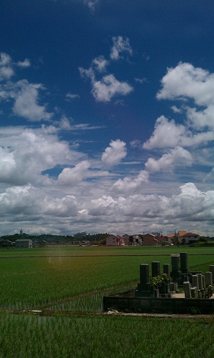 IMAG0985.jpg
