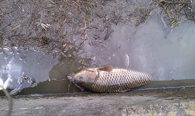 IMAG0993.jpg