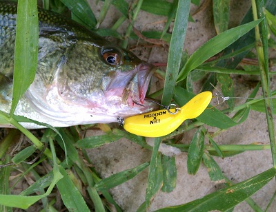 IMAG1260_20120916003013.jpg