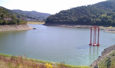 IMAG1507.jpg