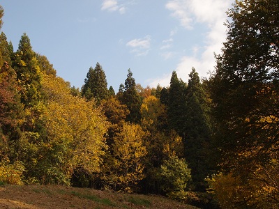 akinoyama2.jpg