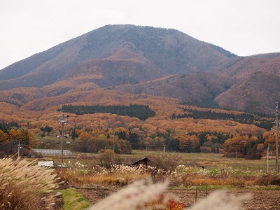 iitunakinnei.jpg
