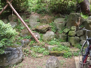isigaki.jpg