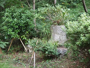 isigaki2.jpg