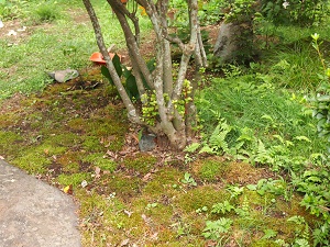 iyasinokokeniwa.jpg