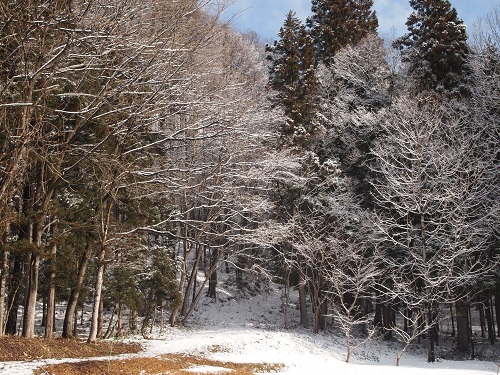 morihenoiriguti2.jpg