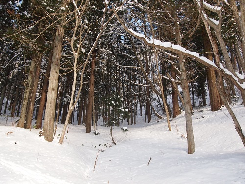 satoyama.jpg