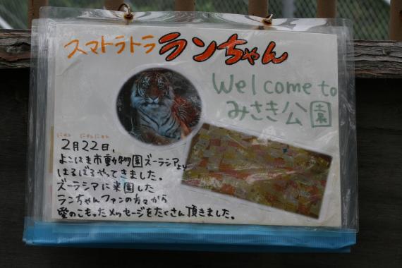 ラン