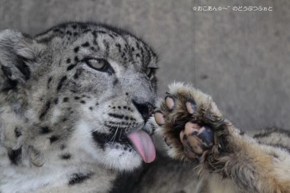 ヨシダ